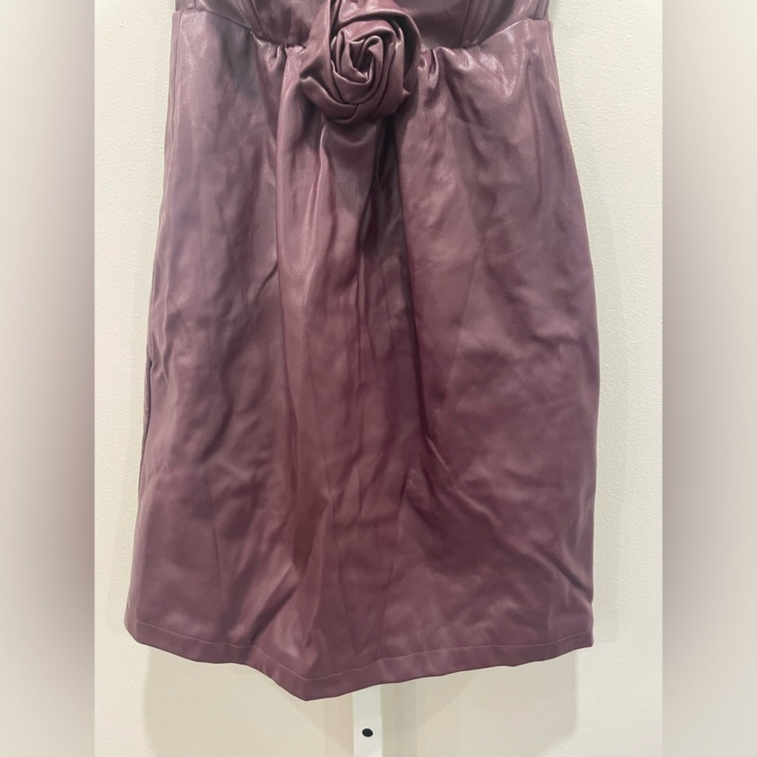 Ashley Park X RTR Voila Vegan Leather Dress Size 2