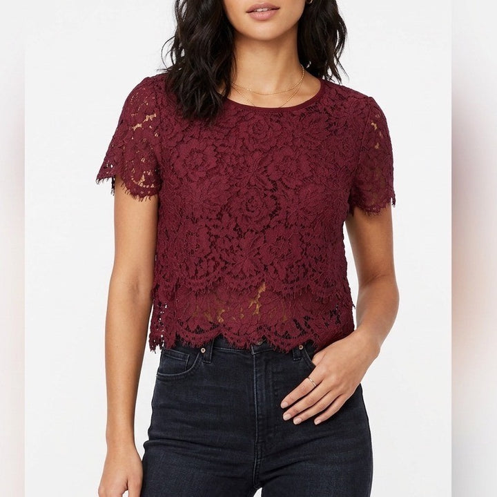 Lulus Find The Perfect Crop Top Womens Large Wine Red Crochet Lace Cap Sleeve