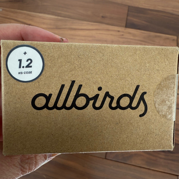 Allbirds Womens 3X Thong Underwear Raincloud Tencel Merino Wool Blend Comfort