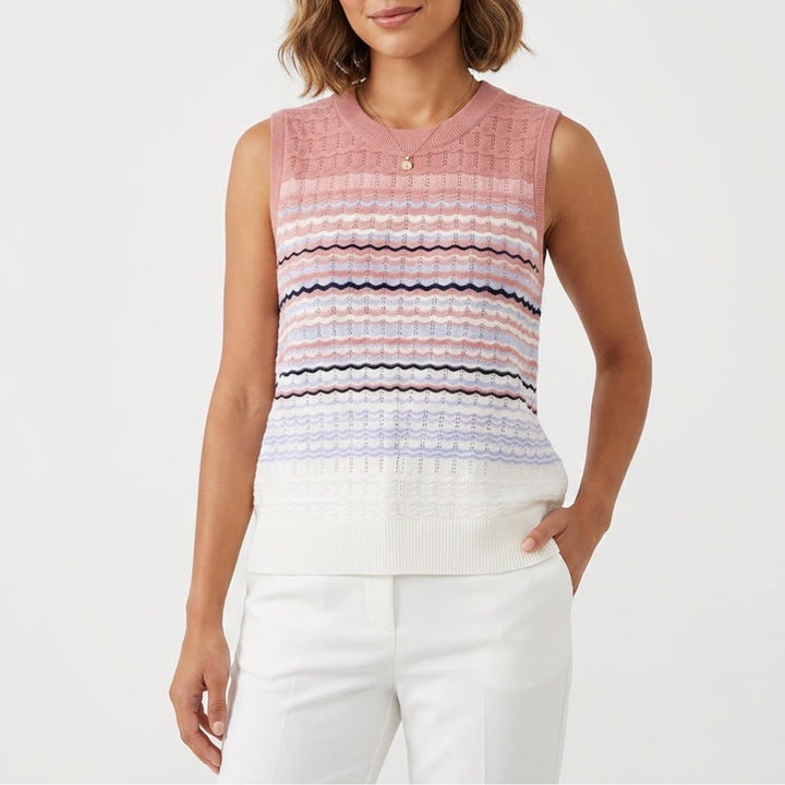 Liz Claiborne Womens XL Pink Blue Chevron Striped Pointelle Knit Sweater Vest