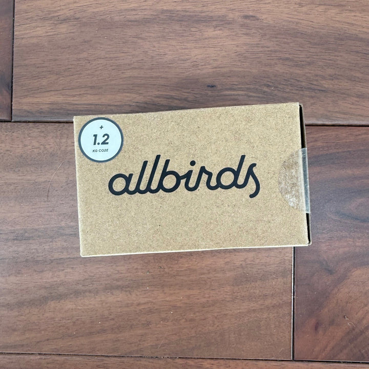 Allbirds 2X Womens Thong Underwear Nimbus Merino Wool Tencel Lycra