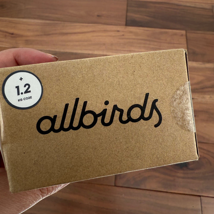 Allbirds 2X Women's Thong Underwear Raincloud Merino Wool Lycra Blend