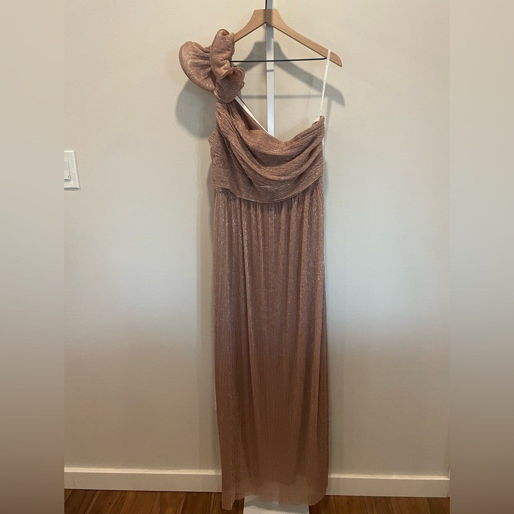 After Six Ruffle Edge One-Shoulder Metallic Pleated Maxi Dress Size XL