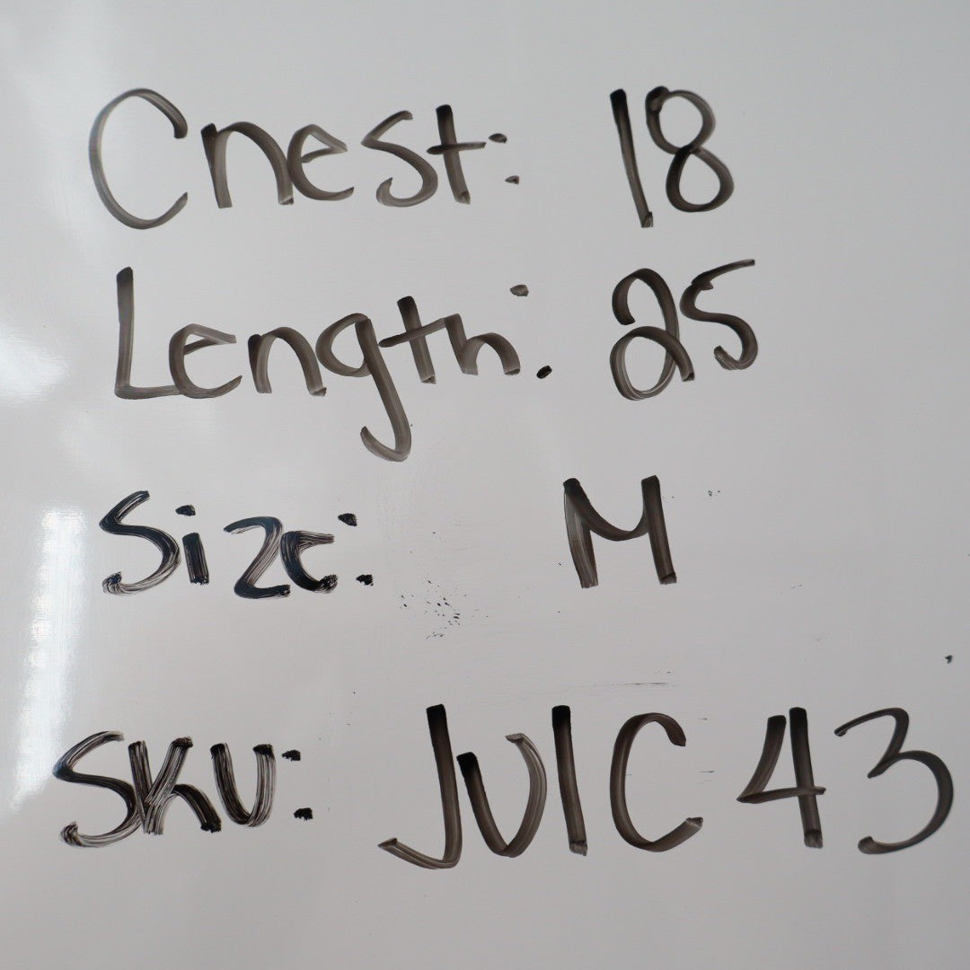 Banana Republic Black Sleeveless Mock Neck Knit Top Size M