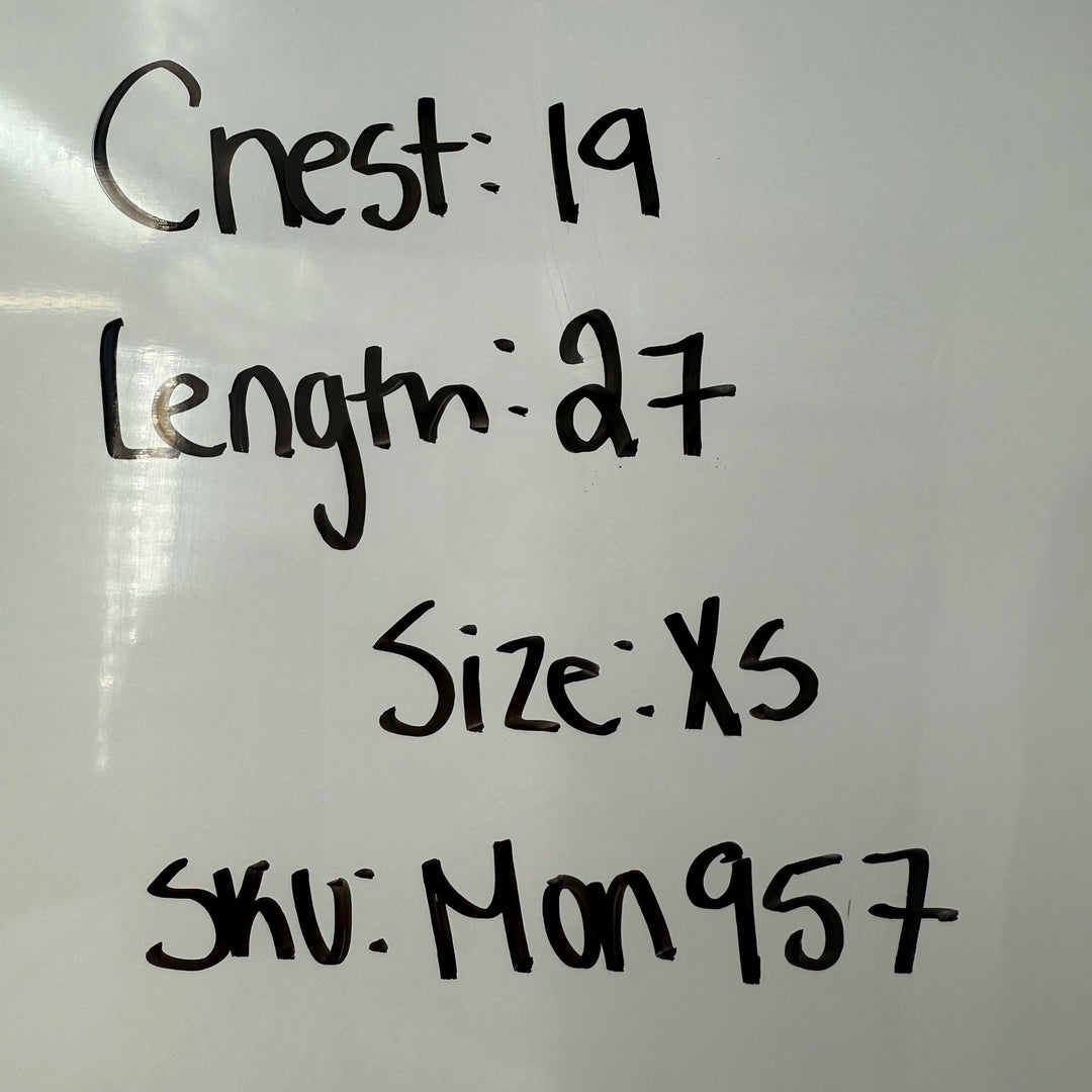 EQUIPMENT Femme Silk Button Down Shirt Green Long Sleeve Two Pocket Size XS