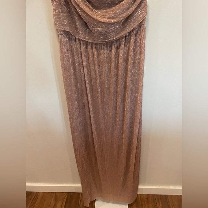 After Six Ruffle Edge One-Shoulder Metallic Pleated Maxi Dress Size XL