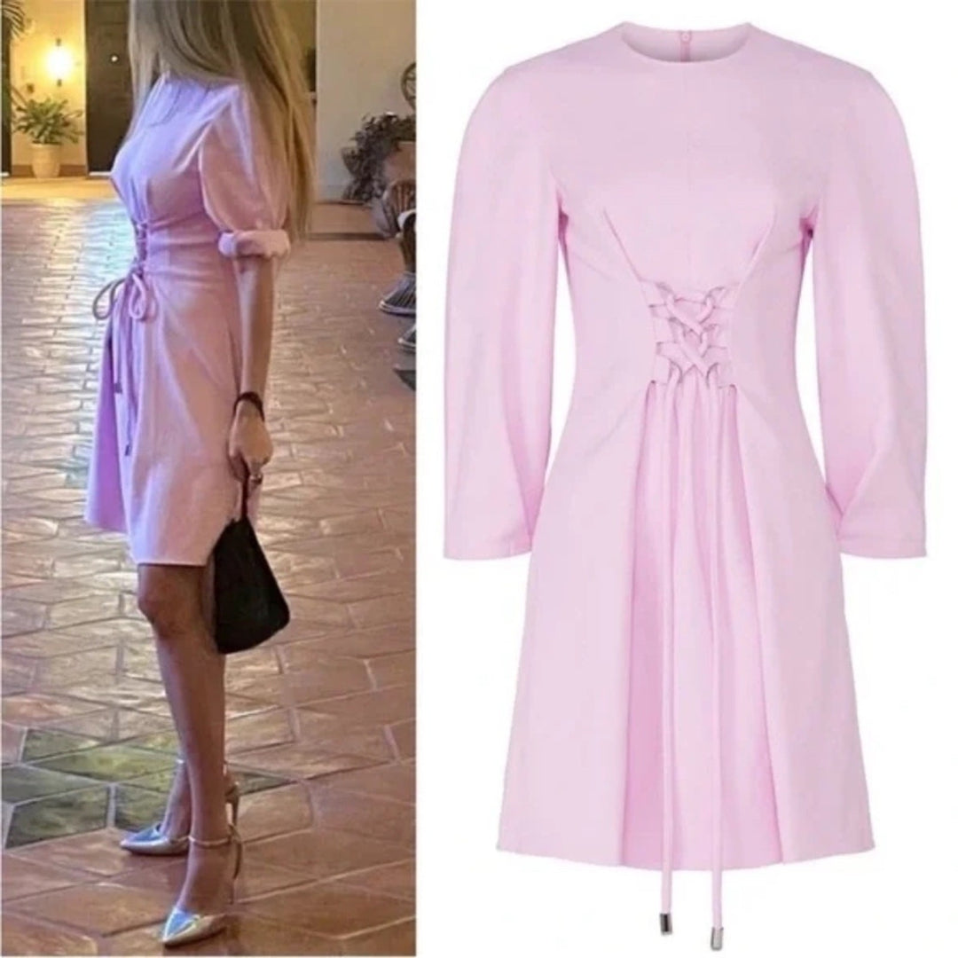 Tibi Chalky Drape Corset Dress Size 2