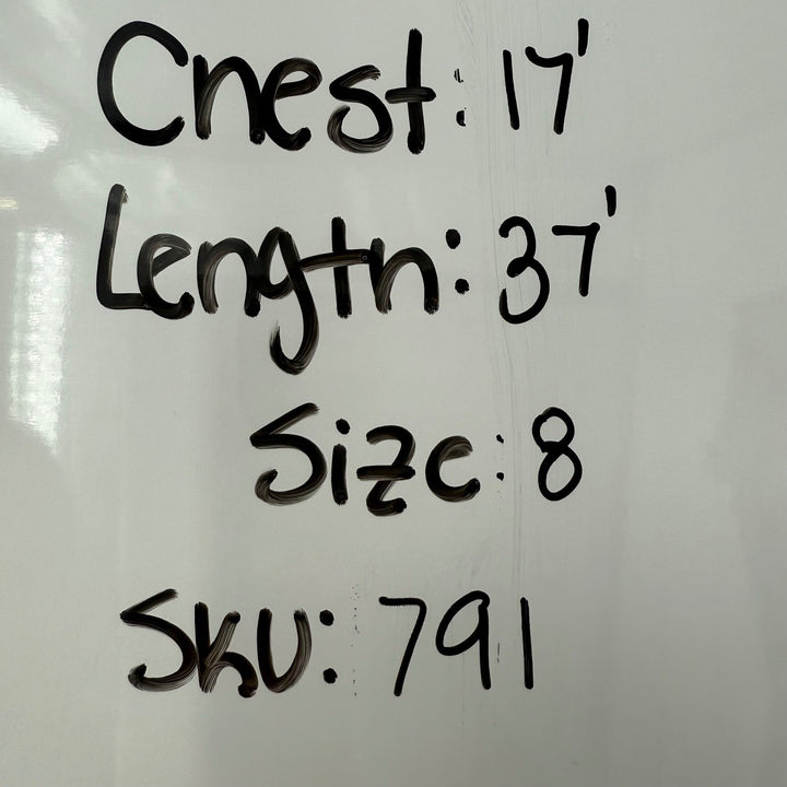 Glamour Women's Navy Blue White Paisley Print Wrap Dress Ruffle Sleeve Size 8