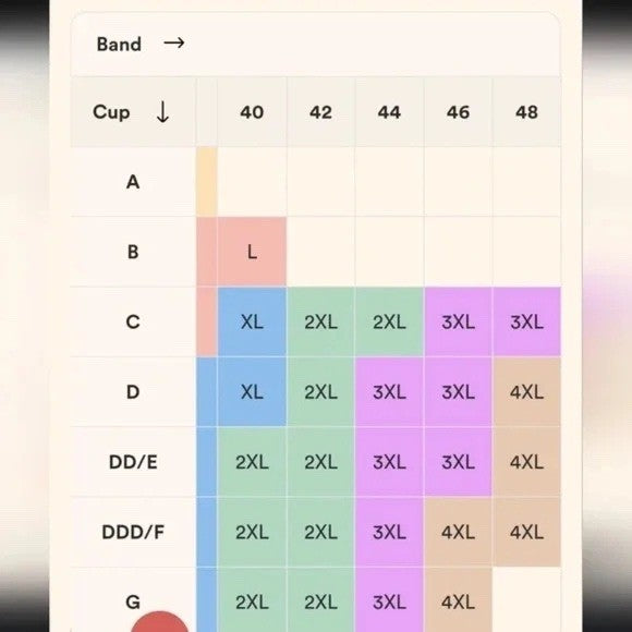 Truekind Convertible Strapless Bandeau Bra Extra Large XL Chai NWT