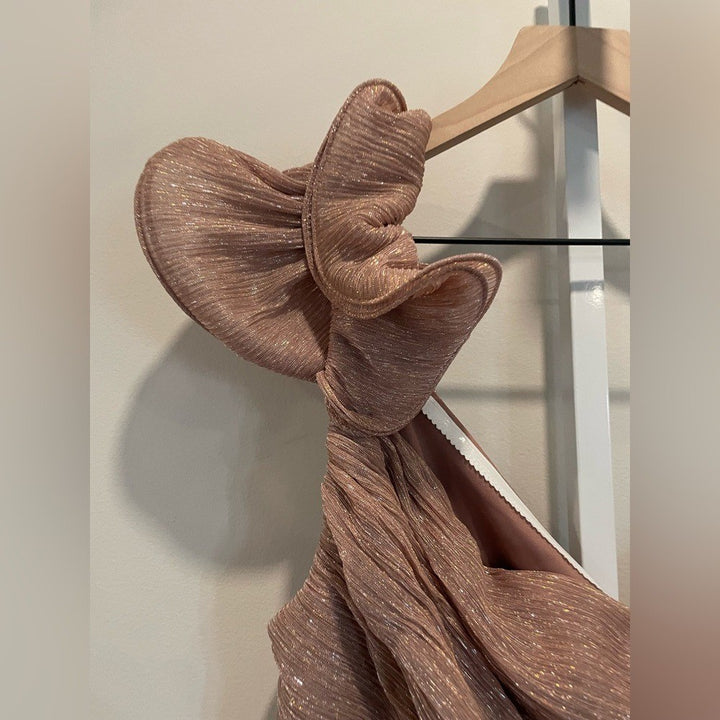 After Six Ruffle Edge One-Shoulder Metallic Pleated Maxi Dress Size XL