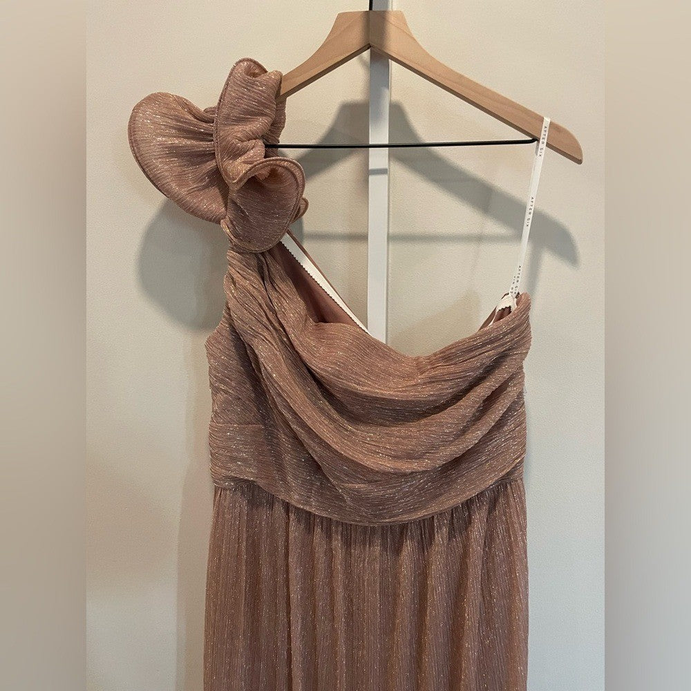 After Six Ruffle Edge One-Shoulder Metallic Pleated Maxi Dress Size XL