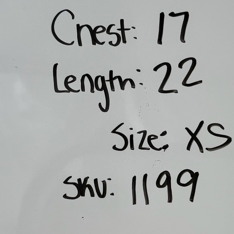 Anthropologie The Della Pleated-Waist Shell Top Size XS