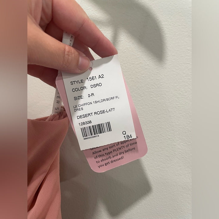 After Six Draped One-Shoulder Maxi Dress With Scarf Bow Size 2