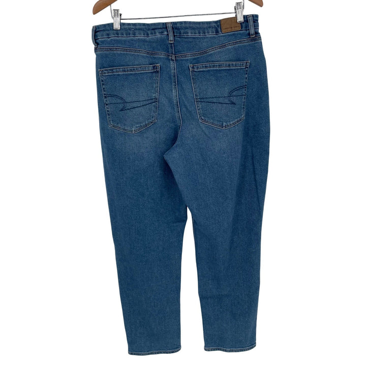 American Eagle Womens Jeans Size 16 Standard Regular Wash Stretch Denim