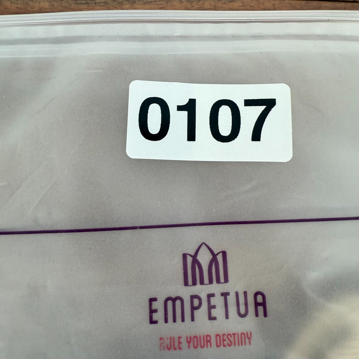 Shapermint Empetua High Waisted Shaper Panty Womens M/L Nude Stretch Shapewear