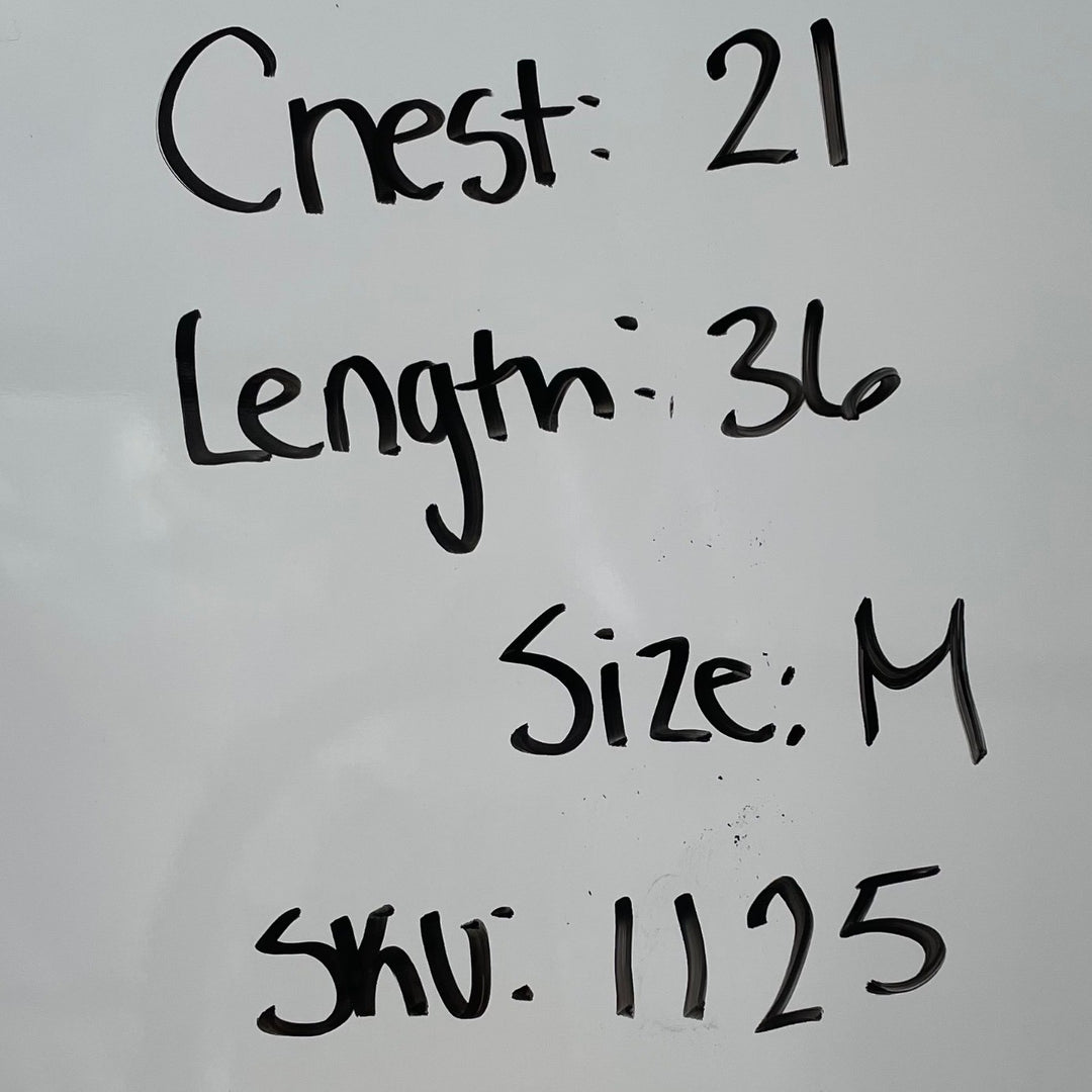 J. Crew White Cotton Belted Shirt Dress Sheath Style M