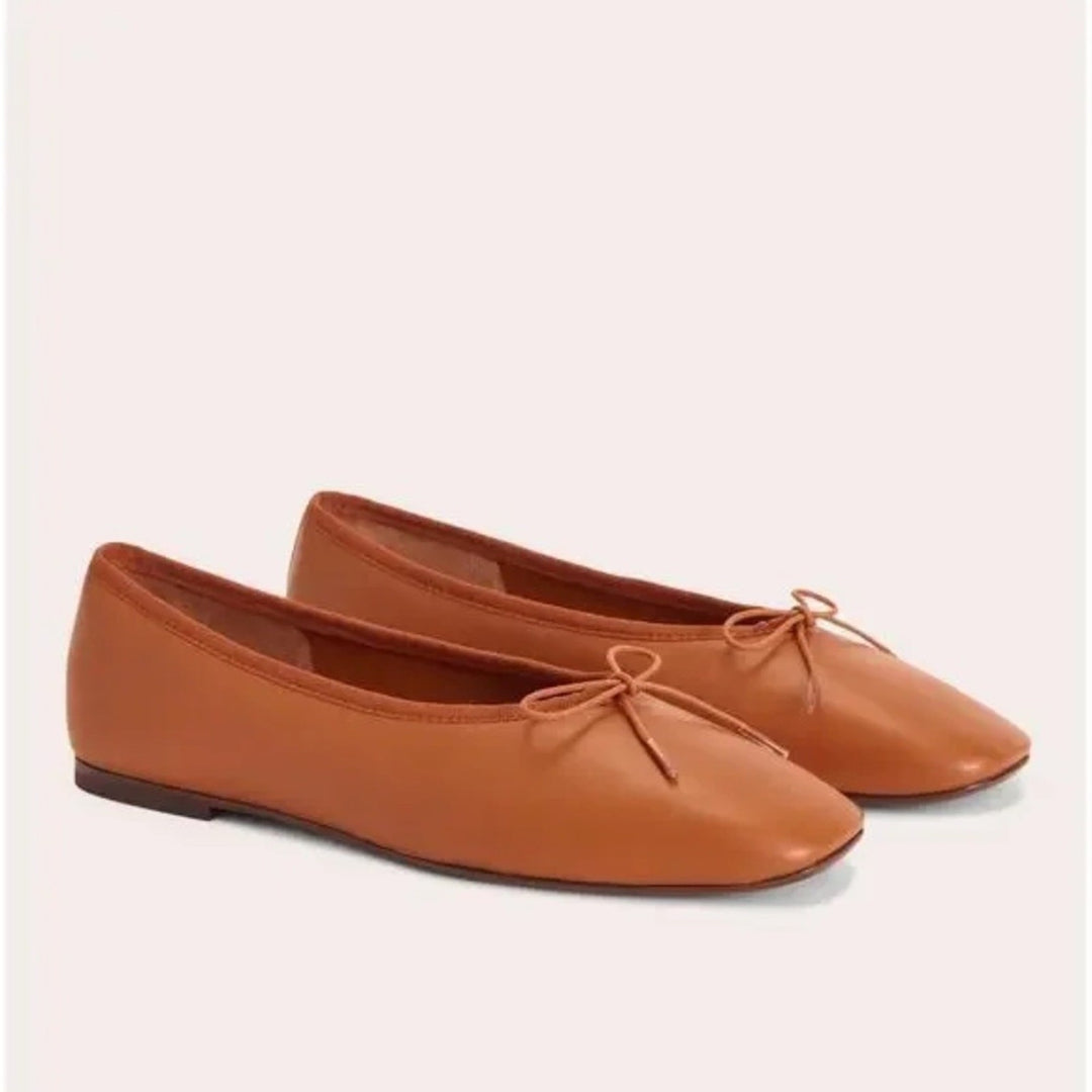 Everlane The Day Ballet Flat Size 5.5