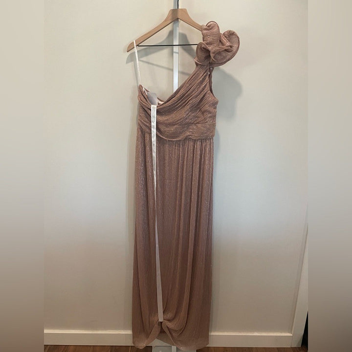 After Six Ruffle Edge One-Shoulder Metallic Pleated Maxi Dress Size XL